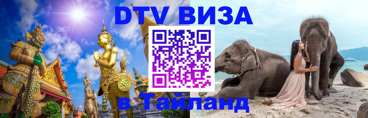 Сколько стоит DTV виза — актуальные цены, оформление даже без документов - 18.11.2025 